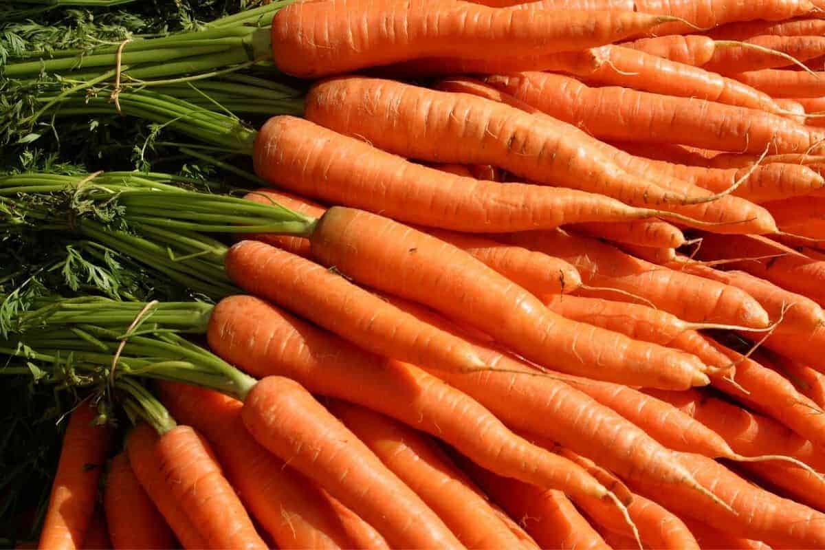 CARROT 2 LB BAG
