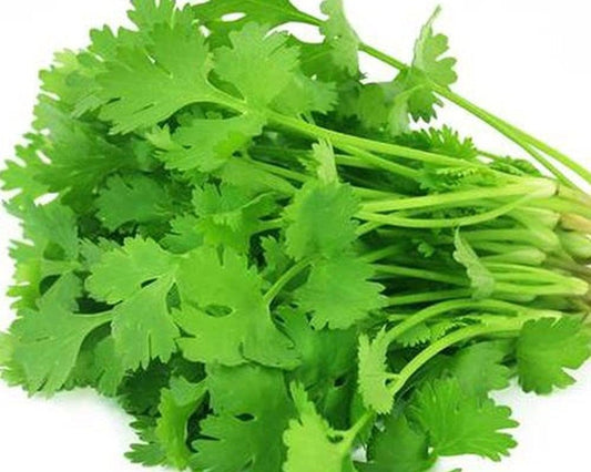 CILANTRO (DHANIYA) 2 FOR $1