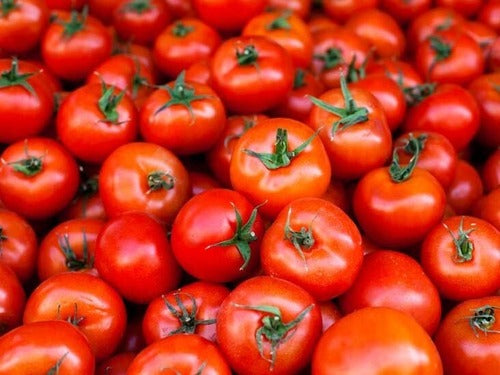 TOMATO ROUND